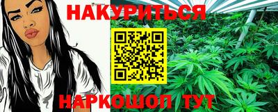 стаф Гай