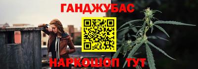 стаф Гай