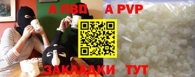 стаф Гай